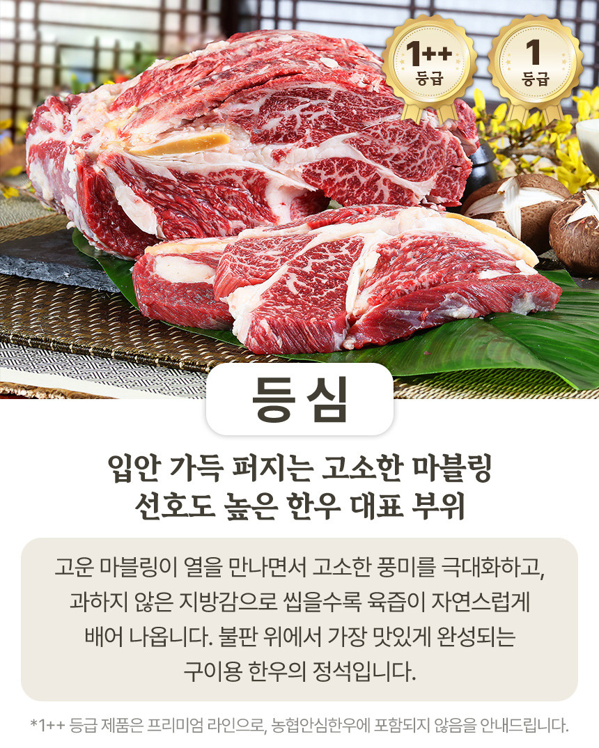 농협안심한우 투뿔 1등급 구이용 안심 부채살 국거리 소고기 200g